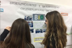 bIOX-asoc-ZID