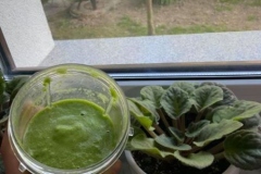 smoothie2