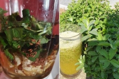 smoothie20
