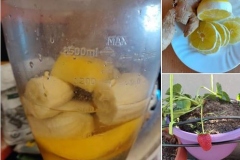 smoothie23