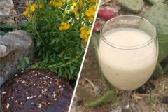 smoothie24