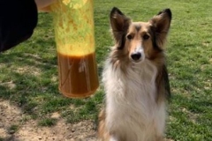 smoothie40