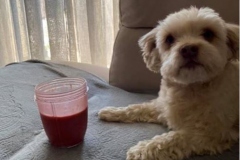 smoothie7