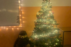 WhatsApp-Image-2022-12-21-at-15.39.51-4